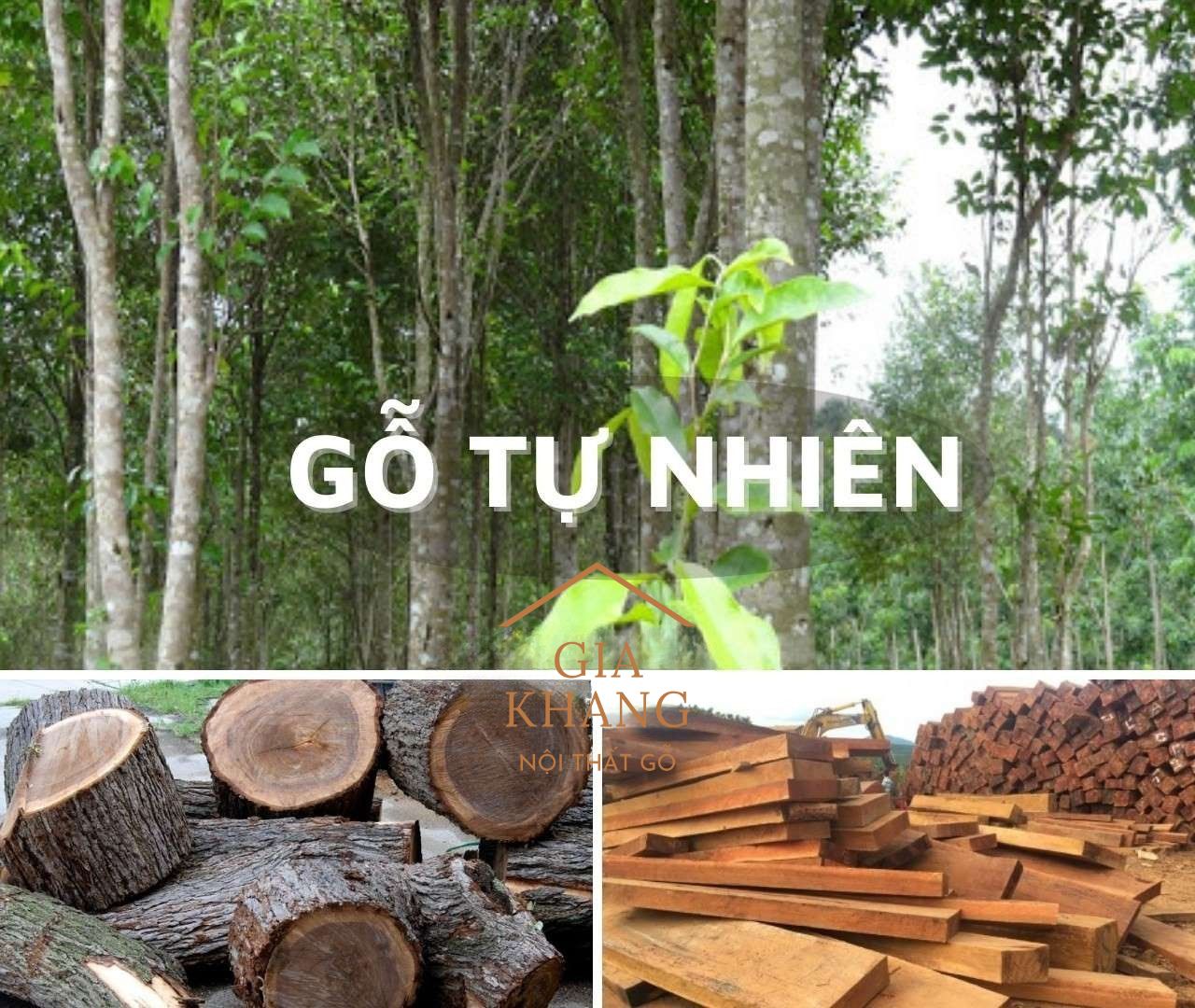 cac-loai-go-tu-nhien